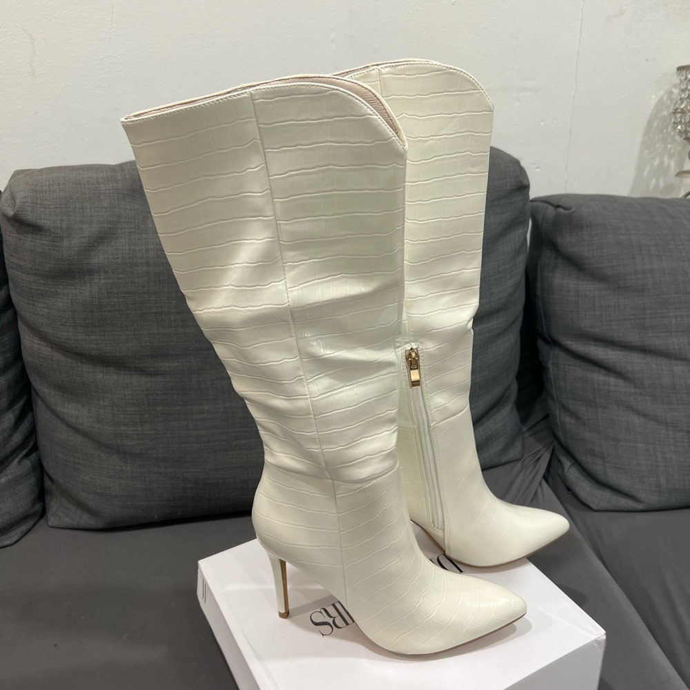 Point toe high heel boots
